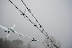 icy barbed wire